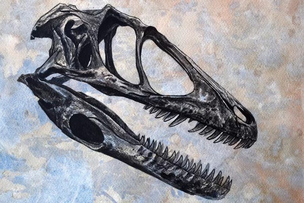 Deinonychus Dinosaur Skull