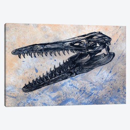 Mosasaurus Dinosaur Skull Canvas Print #TRK2619} by Harm Plat Canvas Art Print