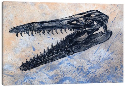 Mosasaurus Dinosaur Skull Canvas Art Print