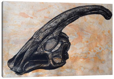 Parasaurolophus Walkerii Dinosaur Skull Canvas Art Print