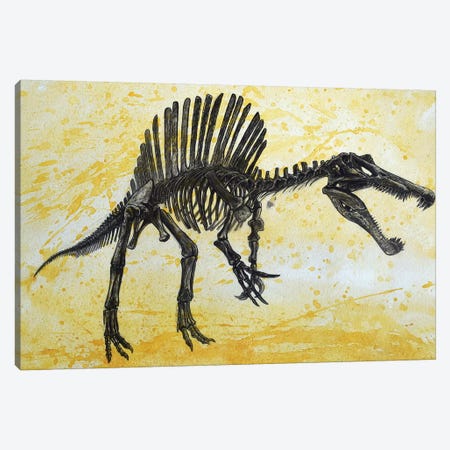 Spinosaurus Dinosaur Skeleton Canvas Print #TRK2621} by Harm Plat Canvas Artwork