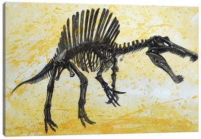 Spinosaurus Dinosaur Skeleton Canvas Art Print