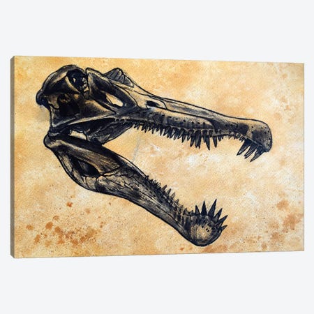 Spinosaurus Dinosaur Skull Canvas Print #TRK2622} by Harm Plat Canvas Wall Art