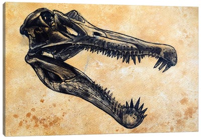 Spinosaurus Dinosaur Skull Canvas Art Print
