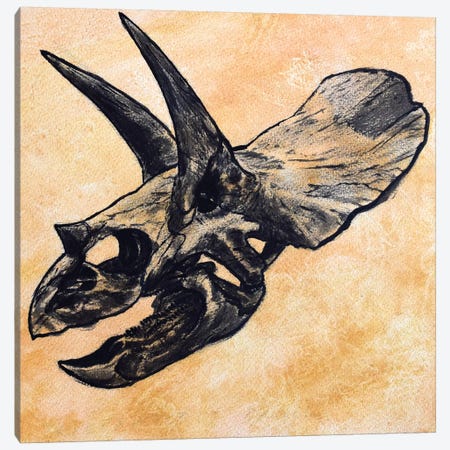 Triceratops Dinosaur Skull Canvas Print #TRK2623} by Harm Plat Canvas Wall Art