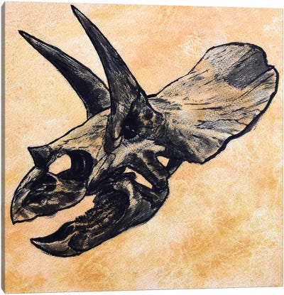 Triceratops Dinosaur Skull Canvas Art Print