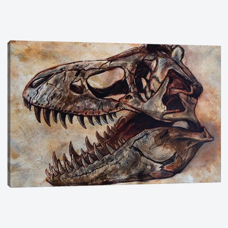 Tyrannosaurus Rex Dinosaur Skull Canvas Print #TRK2625} by Harm Plat Canvas Print