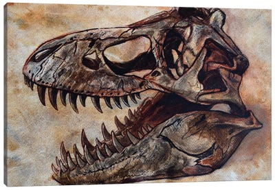 Tyrannosaurus Rex Dinosaur Skull Canvas Art Print