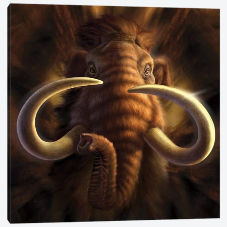 Full On View Of A Woolly Mammoth Canvas Print #TRK2641} by Jerry Lofaro Canvas Wall Art