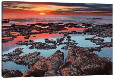 Tidal Pools Reflect The Sunrise Colors During The Autumn Equinox Canvas Art Print