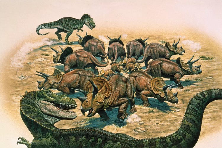 A Herd Of Triceratops Defend Their Territory Against A Pair Of Tyrannosaurus Rex by Mark Hallett wall art