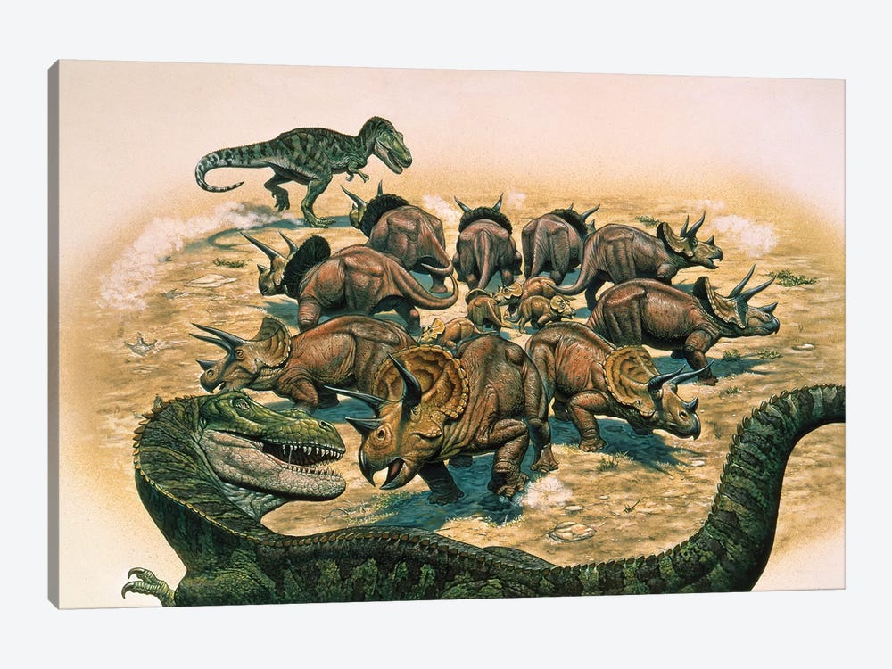 A Herd Of Triceratops Defend Their Territory Against A Pair Of Tyrannosaurus Rex by Mark Hallett 1-piece Canvas Wall Art