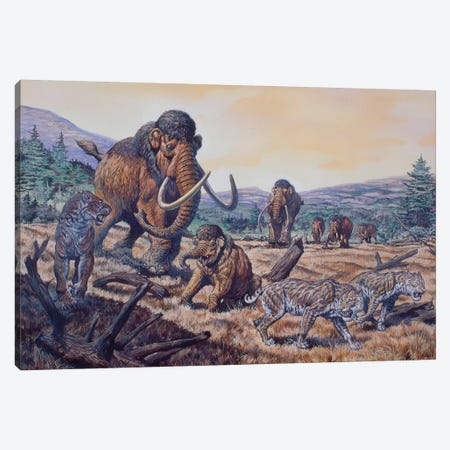 A Herd Of Woolly Mammoth And Scimitar Sabertooth, Pleistocene Epoch Canvas Print #TRK2662} by Mark Hallett Canvas Artwork
