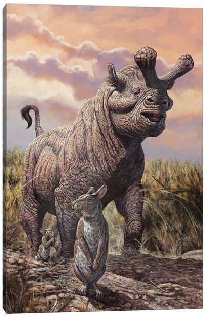 Brontops And Palaeolagus Rabbit Of The Early Miocene Epoch Canvas Art Print