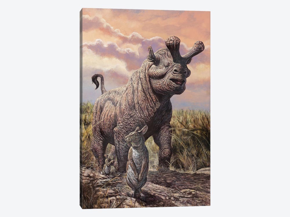 Brontops And Palaeolagus Rabbit Of Th - Canvas Wall Art | Mark Hallett