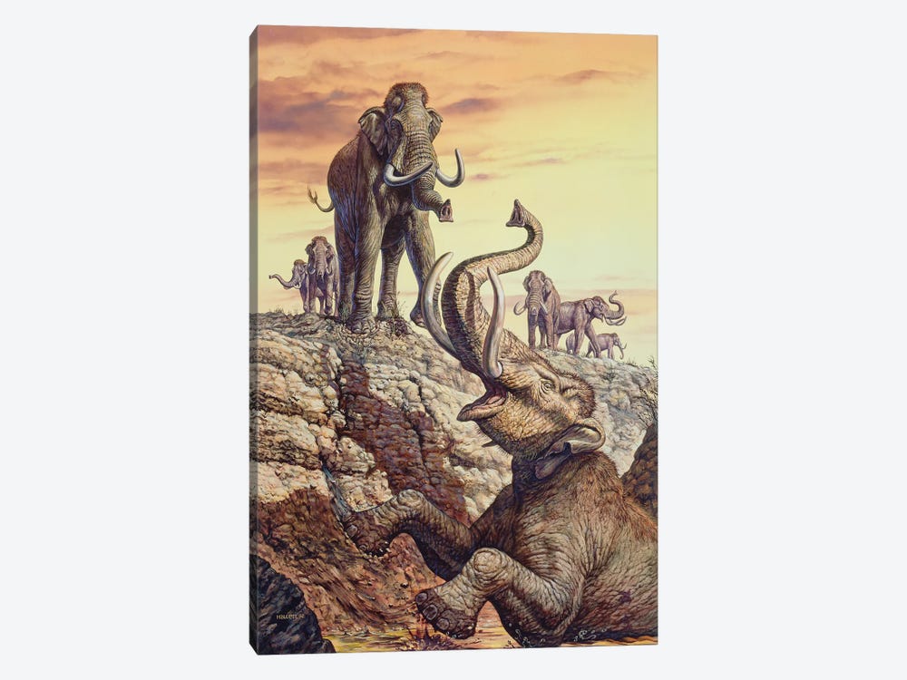 Columbian Mammoth Trapped In A Sinkhole by Mark Hallett 1-piece Canvas Wall Art