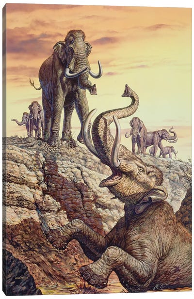 Columbian Mammoth Trapped In A Sinkhole Canvas Art Print - Prehistoric Animal Art