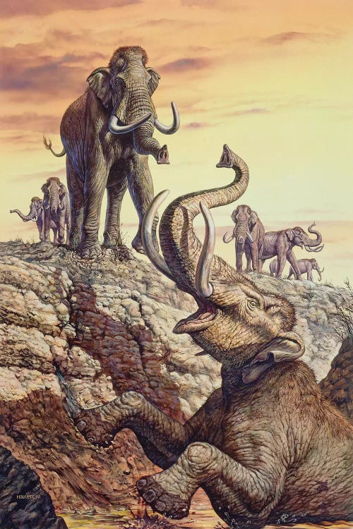 Columbian Mammoth Trapped In A Sinkhole by Mark Hallett wall art