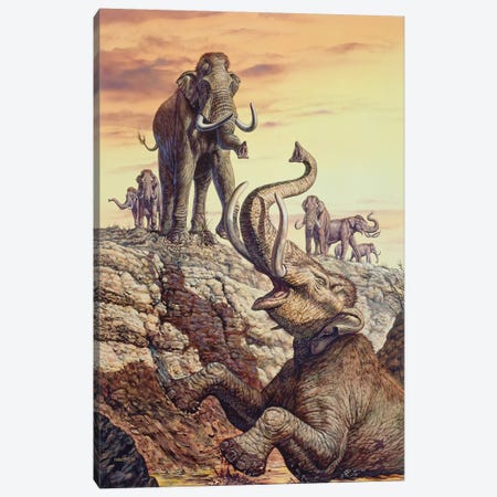 Columbian Mammoth Trapped In A Sinkhole Canvas Print #TRK2670} by Mark Hallett Canvas Art Print