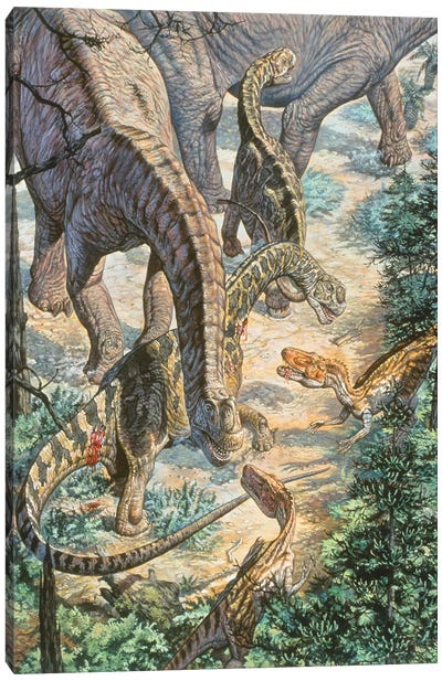 Jobaria Sauropods And Afroventor Raptors Of The Mid-Cretaceous Period Canvas Art Print - Raptor Art