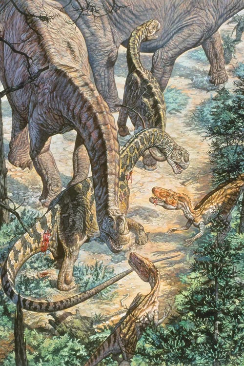 Jobaria Sauropods And Afroventor Raptors Of The Mid-Cretaceous Period