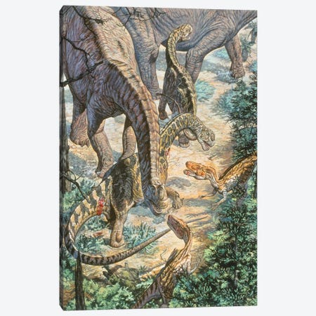 Jobaria Sauropods And Afroventor Raptors Of The Mid-Cretaceous Period Canvas Print #TRK2671} by Mark Hallett Art Print