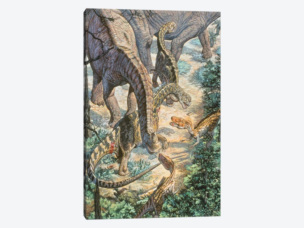 Jobaria Sauropods And Afroventor Raptors Of The Mid-Cretaceous Period by Mark Hallett 1-piece Art Print