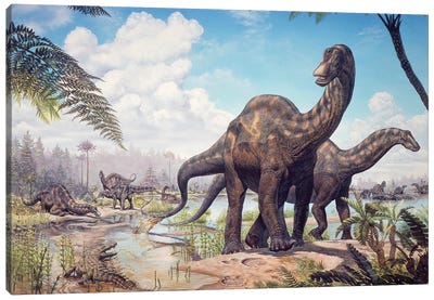 Large Dicraeosaurus Sauropods From The Late Cretaceous Of Africa Canvas Art Print