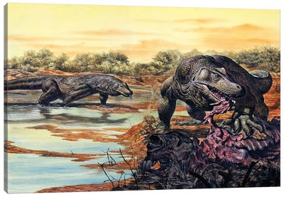 Megalania (Giant Monitor Lizard) Eating His Prey, Pleistocene Epoch Canvas Art Print