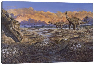 Titanosaur Nesting Site, Mid-Cretaceous Period Of South America Canvas Art Print