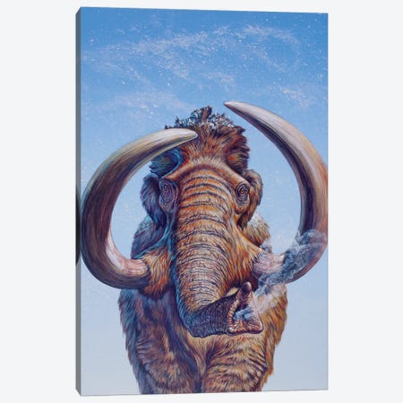 Woolly Mammoth Charging, Pleistocene Epoch Canvas Print #TRK2682} by Mark Hallett Canvas Art