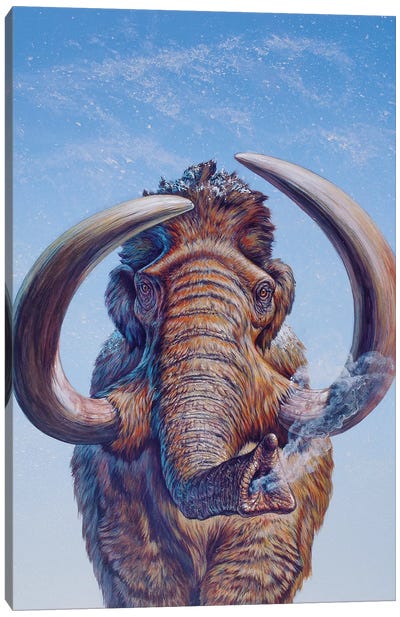 Woolly Mammoth Charging, Pleistocene Epoch Canvas Art Print