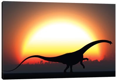 A Silhouetted Diplodocus Dinosaur Takes At The Start Of A Prehistoric Day Canvas Art Print