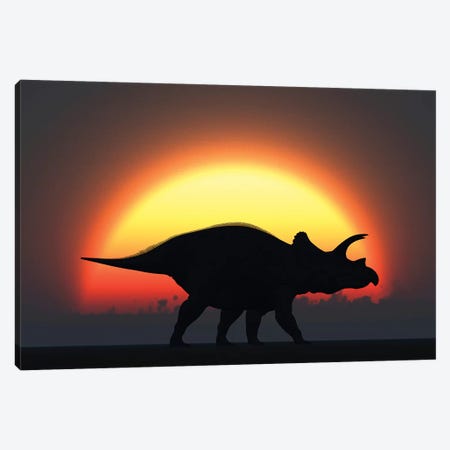 A Silhouetted Triceratops Strolling Past A Setting Sun At The End Of A Prehistoric Day Canvas Print #TRK2687} by Mark Stevenson Art Print