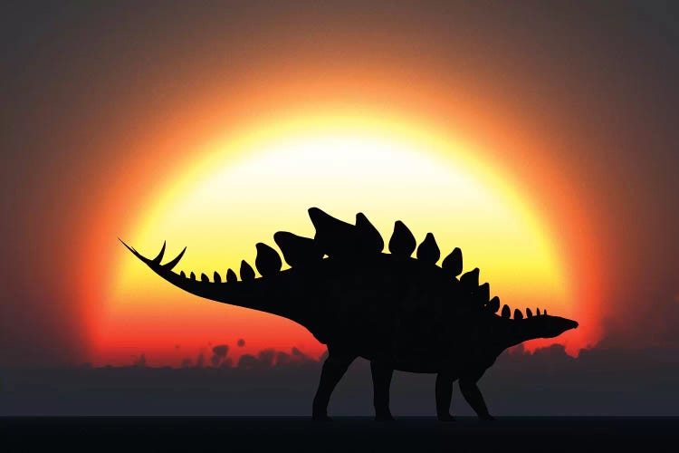 A Stegosaurus Silhouetted Against The Setting Sun At The End Of A Prehistoric Day