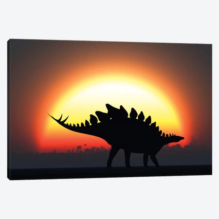 A Stegosaurus Silhouetted Against The Setting Sun At The End Of A Prehistoric Day Canvas Print #TRK2688} by Mark Stevenson Canvas Artwork