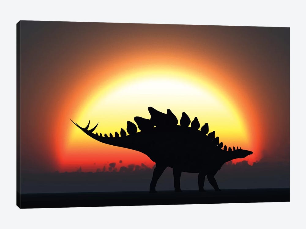 A Stegosaurus Silhouetted Against The Setting Sun At The End Of A Prehistoric Day by Mark Stevenson 1-piece Canvas Print