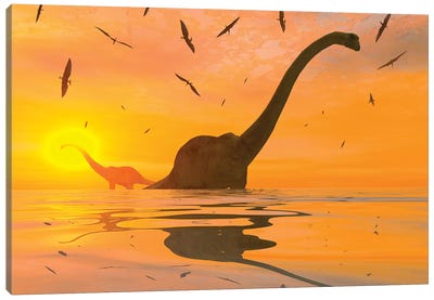 Diplodocus Dinosaurs Bathe In A Large Body Of Water Canvas Art Print