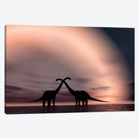 The Silhouetted Forms Of A Pair Of Courting Sauropod Dinosaurs Canvas Print #TRK2692} by Mark Stevenson Canvas Print