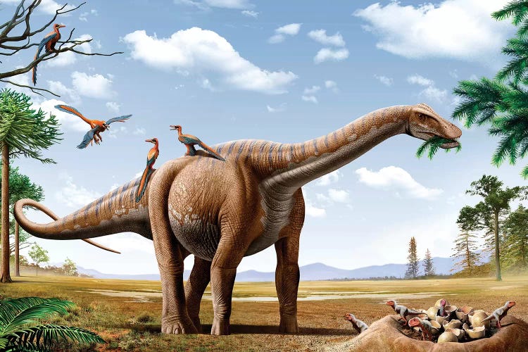 A Rapetosaurus Feeding On Leaves With Rahonavis On Its Back by Mohamad Haghani wall art