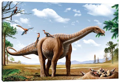 A Rapetosaurus Feeding On Leaves With Rahonavis On Its Back Canvas Art Print