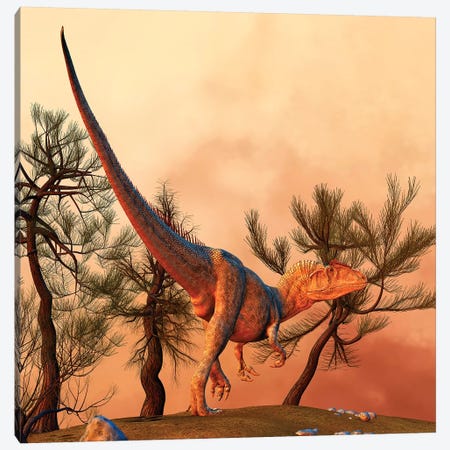 Allosaurus, A Large Theropod Dinosaur From The Late Jurassic Period Canvas Print #TRK2722} by Philip Brownlow Canvas Art Print