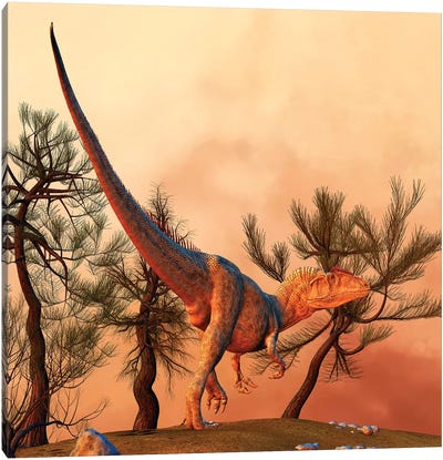Allosaurus, A Large Theropod Dinosaur From The Late Jurassic Period Canvas Art Print