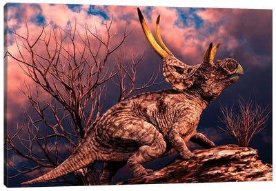 Diabloceratops Was A Ceratopsian Dinosaur From The Cretaceous Period Canvas Art Print