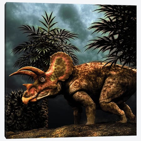 Triceratops Was A Herbivorous Dinosaur From The Cretaceous Period Canvas Print #TRK2727} by Philip Brownlow Canvas Artwork
