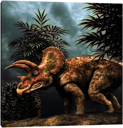 Triceratops Was A Herbivorous Dinosaur From The Cretaceous Period Canvas Art Print