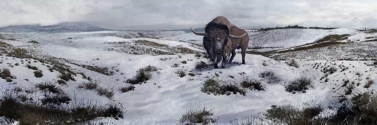 A Bison Latifrons In A Winter Landscape During The Pleistocene Epoch