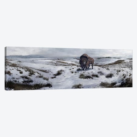 A Bison Latifrons In A Winter Landscape During The Pleistocene Epoch Canvas Print #TRK2729} by Roman Garcia Mora Canvas Art Print