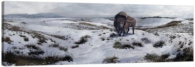 A Bison Latifrons In A Winter Landscape During The Pleistocene Epoch Canvas Art Print