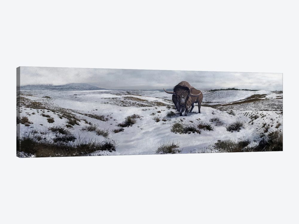 A Bison Latifrons In A Winter Landscape During The Pleistocene Epoch by Roman Garcia Mora 1-piece Canvas Print